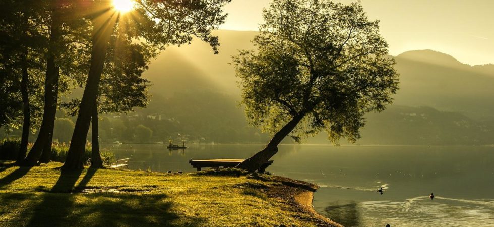 Glicemia e prodotti naturali