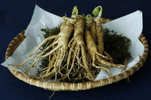 ginseng naturale anti-stress