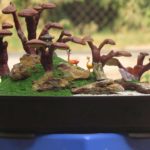micoterapia funghi